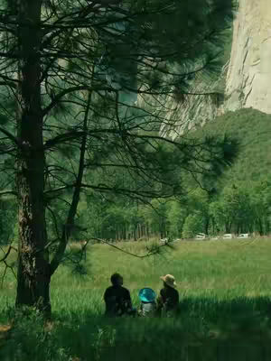 The image captures a serene natural scene. Two figures sit in a grassy area, facing away from the camera. A blue and silver object is between them. A large tree with visible branches frames the left side. The background shows a verdant forest and a towering mountain range. The overall composition is peaceful, with soft lighting.