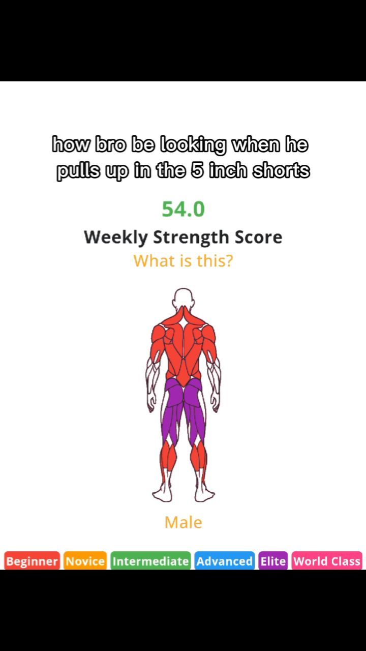 The cover image shows a diagram of a human body, depicted from the back with a muscles overlay. The muscles, indicated by red and purple colors, highlight various muscle groups. The image is overlaid with text that reads, 'how bro be looking when he pulls up in the 5 inch shorts', and '54.0 Weekly Strength Score' . Below the image, the word 'Male' appears on the central axis, indicating the gender. Towards the bottom of the image, there are colored bars labeled 'Beginner', 'Novice', 'Intermediate', 'Advanced', 'Elite', and 'World Class'. The background is of a plain, white color.