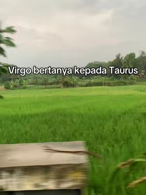 A wide outdoor shot features a vibrant green field, possibly rice paddies, stretching towards a line of trees beneath a cloudy sky. The foreground includes a concrete block and some foliage.
