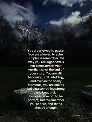 The image presents a moody landscape with a dark sky filled with clouds and silhouetted trees in the distance. In the foreground is a dark green area, possibly grass, and a rock, with a vertical block of white text overlayed in the center, containing an inspirational message about resilience and self-acceptance.