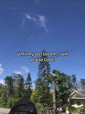 The image shows a wide shot of a clear blue sky with wispy clouds. Tall green trees and foliage partially cover the bottom half. In the center, a tall, thin pine tree stands out. Power lines are visible, and text overlays the image.