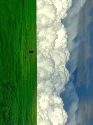 The image is a vertical split: the left side is filled with bright green, reminiscent of a field, while the right side is a mix of white, fluffy clouds and a blue sky. A dark, silhouetted shape, possibly a figure, is present in the green field.
