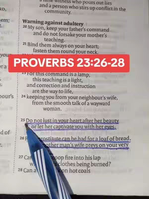The image displays a close-up of an open Bible page. Text fills the page, with specific verses highlighted by blue underlines. A red rectangular overlay reads "PROVERBS 23:26-28". A blue pen is positioned in the bottom-right, pointing at the text.