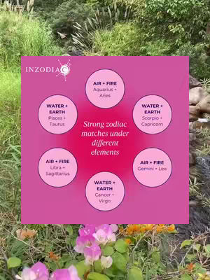The cover image features a diagram of Zodiac signs under different elements. A pink graphic containing circular labels with zodiac signs and the elements they're associated with.