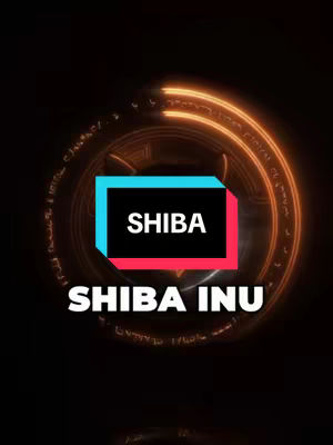 The cover image has a dark theme with a central, circular design highlighted with orange glowing lines. Within this circle, there's a square area with a blue top and red bottom section. Inside, the word "SHIBA" is displayed in stark white text, and just below this is the text "SHIBA INU". The overall layout is centered, creating a visually balanced and modern feel.