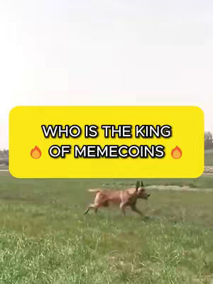 A video cover image featuring a dog running through a grassy field with a yellow rectangle overlaid at the top. The rectangle contains the text "WHO IS THE KING OF MEMECOINS" in bold, white letters with orange fire symbols on either side. The dog is brown with its mouth open and is slightly blurred, suggesting motion. The background is a sky with no visible details.