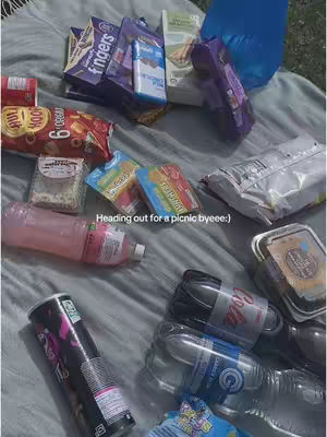 An overhead shot of various picnic items laid out on a blanket. There are several snack packages, bottles of water, and soda cans, suggesting a casual outdoor gathering.