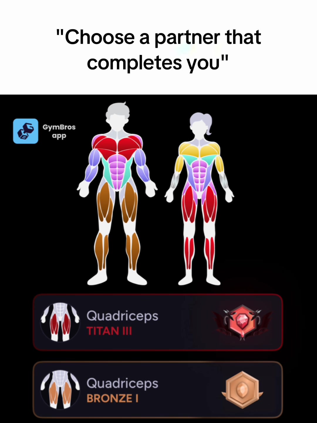 The image presents a black background with two stylized human figures, one male and one female, shown in white outline. Overlaid on each figure is a diagram of muscles, color-coded. The top of the image contains white text: 'Choose a partner that completes you'. Below the figures are two panels with app graphics and text related to 'Quadriceps' and ranking levels.