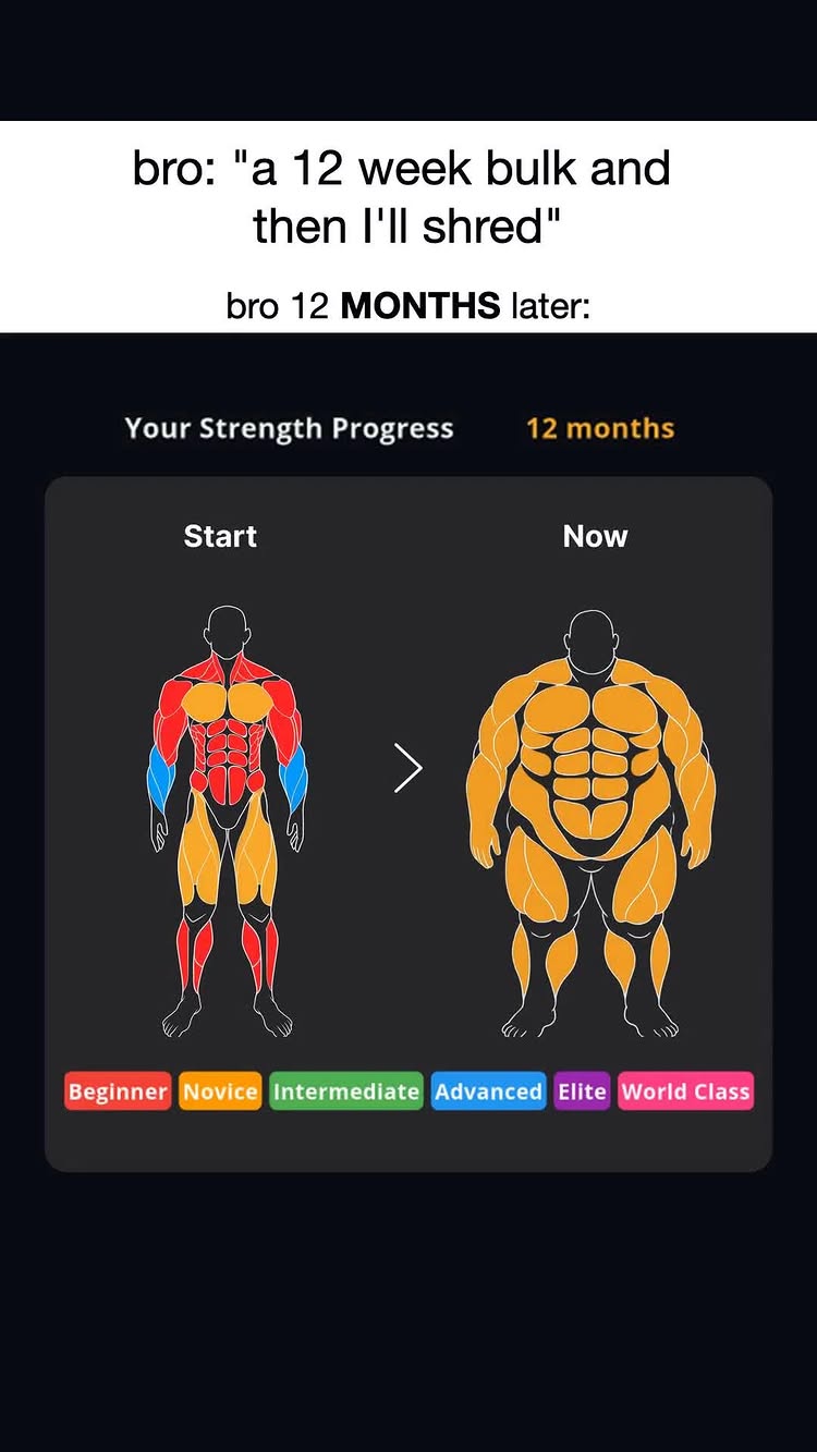 The image is a before-and-after comparison of a person's physique using an app. On the left is a muscular, defined figure with colored regions indicating muscle groups; on the right, the same figure has transformed into a larger, out-of-shape form, also outlined in color. Text overlays indicate 'bro' and a humorous scenario of bulk and shred cycles, along with a 12-month time frame. Below, a color-coded bar labels fitness stages.