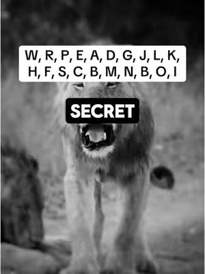 A black and white image featuring a lion with the word "SECRET" covering its mouth. Above the lion, there's a white rectangle with a series of seemingly random letters. The background is blurred, focusing attention on the animal and the overlaid text.