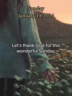 The image shows a person's arm and hand reaching towards a field of white flowers, with a sunset or sunrise visible in the background. Text overlays indicate the date and a message to thank God for a wonderful Sunday.