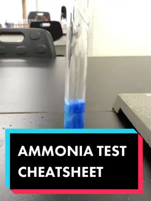 The image shows a laboratory setting. A clear test tube stands upright, containing a blue liquid at the bottom. The background is a blurred view of lab equipment and furniture. A rectangular black and teal text overlay at the bottom reads "AMMONIA TEST CHEATSHEET".