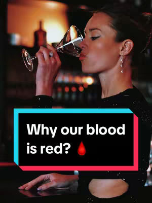 A person is shown in a dimly lit environment seemingly tasting the fluid in the martini style glass in their hand. The background adds depth, suggesting a bar or lounge setting and the hook in the image is on a box shape.