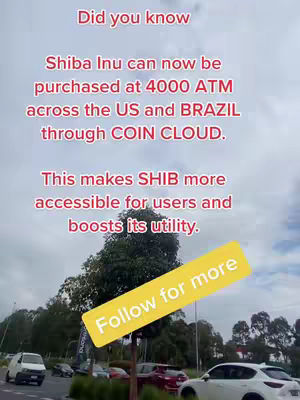 The image shows a street scene with a cloudy sky. In the foreground, there are trees and a yellow banner. Behind the trees, there are cars. There are also texts in the image that convey information about Shiba Inu crypto.