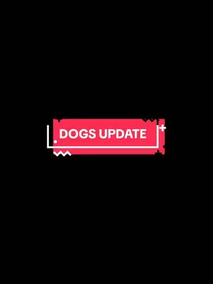 A black background features a red rectangular shape with the text "DOGS UPDATE" in white. The rectangle is outlined in white with zig-zag and plus signs at the edges.