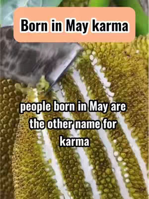 The cover image has a close-up view of a textured, yellow and green surface, likely a plant or fruit. Overlaid on top are two text boxes. The top box, in a peach color, reads "Born in May karma" in bold, black text. Below it, a white text box has the words "people born in May are the other name for karma" in black text. The layout is simple, with the text as the primary focus against the textured background.