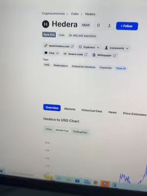 Screenshot of a computer screen displaying the Hedera (HBAR) cryptocurrency information page. The screen shows the coin's name, ticker symbol, and trading data with a blue 'Overview' box selected. Overall, it's a clear and focused screenshot of a cryptocurrency dashboard or trading platform.