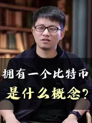 The cover image features a man wearing glasses, dressed in a black jacket over a black shirt, with a blurred bookshelf background hinting at a library setting. Text in the middle of the image asks: 'What is the concept of having one Bitcoin?'