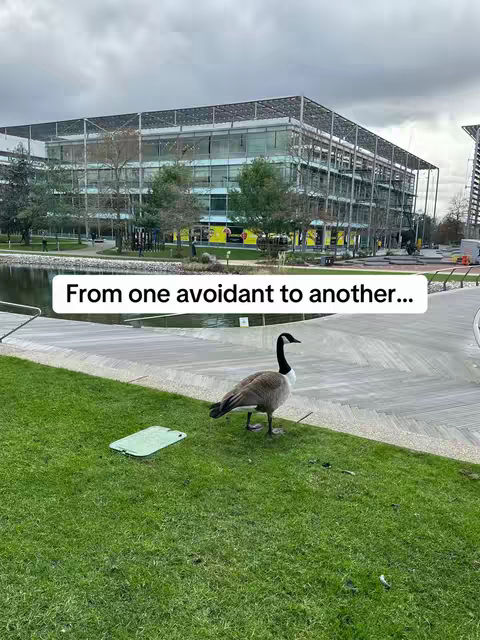 A daytime shot featuring a large, modern building behind a body of water and grassy foreground. The building is primarily glass and steel with a complex grid-like structure. In the foreground, there's a grassy area leading up to the water's edge. A single goose stands on the grass, and a white rectangle is positioned in front of the goose. Overcast sky.