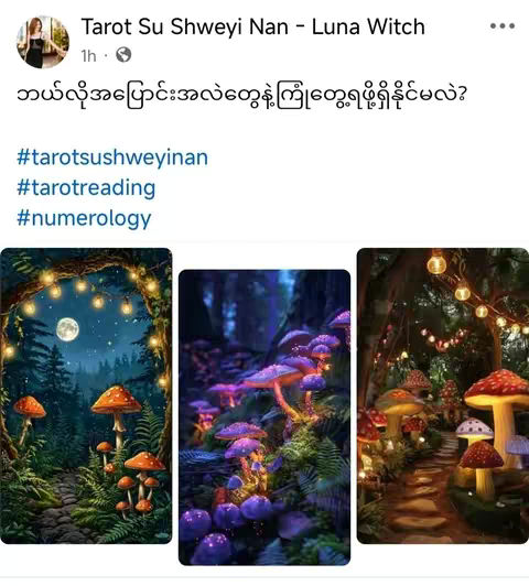 The cover image is a composite of three digitally illustrated scenes depicting mystical forest landscapes populated with glowing mushrooms and strings of lights. The central image features purple and pink glowing mushrooms in a dense forest setting. The left scene shows a path flanked by large mushrooms, while the right scene has a similar path lit with fairy lights. A woman's profile picture is in the top left corner.