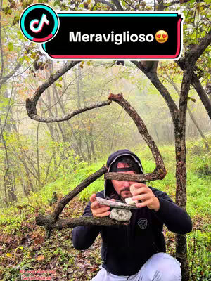 A man in a black hoodie is outdoors, partially obscured by a tree and branches, with several stones balanced on a small platform. Above, text overlaps include the TikTok logo, and Italian text in a bubble.