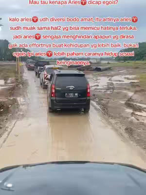 The image shows a view from inside a car, looking out onto a muddy road where several cars are lined up. Text overlays are present at the top, conveying information about Aries. The overall composition suggests a scene from a car, with an emphasis on the road conditions and the cars ahead.