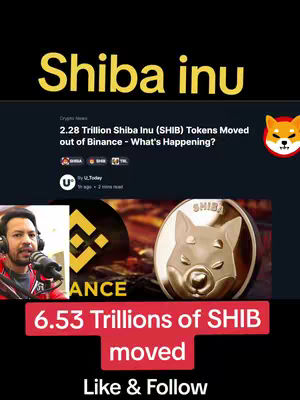 The cover image features a split-screen layout. The top half has the title 'Shiba Inu' in large, yellow, stylized text. Below this are details from a news article. The bottom portion features a person recording with a mic, and a coin and is overlaid with the text, '6.53 Trillions of SHIB moved' in a red box. The background includes elements like a Binance logo and a Shiba Inu dog image.