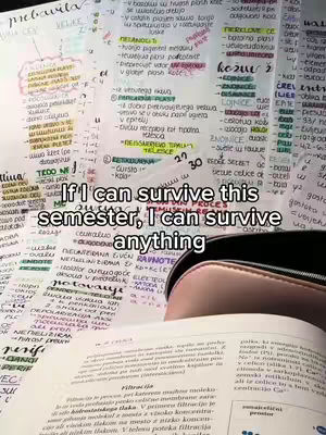 The cover image shows a close-up view of handwritten notes and an open textbook, with a text overlay in the center. The notes appear to be study materials, the text overlay states, "If I can survive this semester, I can survive anything." and a pen case.