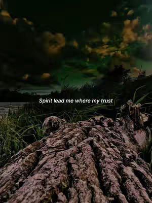 The image shows a natural outdoor scene dominated by a textured, brown log in the foreground. Above it, green grass gives way to a view of a body of water, beyond which are darker green trees and a cloudy sky. The sky transitions from dark green near the horizon to lighter yellows and brighter greens in the upper portion of the image. White text overlay reads a lyric from the song.