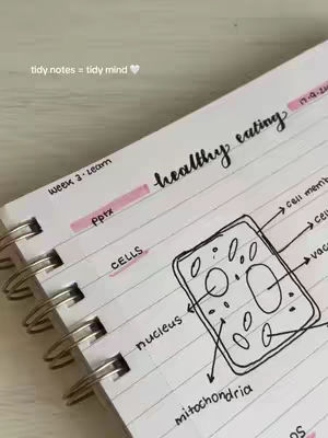 The cover image shows a spiral notebook open to a page filled with handwritten notes and diagrams. The top of the page has the words 'healthy eating' written in a cursive font. The background is a light, possibly wooden surface. The notebook is oriented at an angle, and the binding is on the left side. There are pink highlighter marks to section off different note topics. The overall composition is clean and neat, with the notes appearing organized and the color palette soft and pleasing.