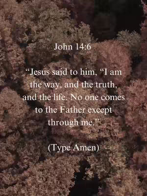 The cover image depicts a textured background of what appears to be dense foliage, possibly a forest canopy. Overlaid on this background is white text conveying a Bible verse from John 14:6. The overall composition is vertically oriented, with the text centered and displayed in a clear, easy-to-read font, contrasting with the darker, natural background.