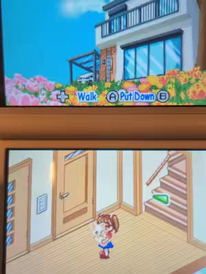 The image captures gameplay from the Nintendo DS game 'Nintendogs.' The bottom screen of a 3DS console displays an interior scene with a cartoonish girl holding a puppy. The environment is vibrant with light wood flooring, a door, and stairs in the background. On the top screen, a facade of a modern building is seen with a blue sky above and blooming flowers in the foreground. Both screens are enclosed within the physical frame of the 3DS console.