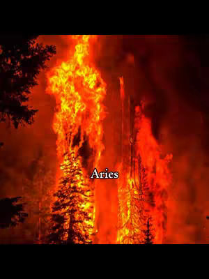 The cover image features a dramatic scene of a forest fire. Flames engulf trees and spread throughout a forest, creating a vivid display of orange and red hues. The word "Aries" is superimposed in white text near the center of the image.