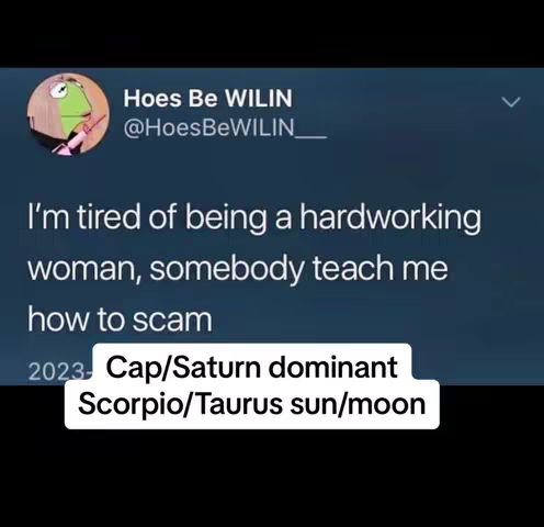 The image is a screenshot of a tweet. Above the text is the name 'Hoes Be WILIN' with a profile picture of Kermit the Frog. The tweet says: "I'm tied of being a hardworking woman, somebody teach me how to scam." There is an additional white box at the bottom which reads "Cap/Saturn dominant Scorpio/Taurus sun/moon". The background color is a gradient dark blue to black.