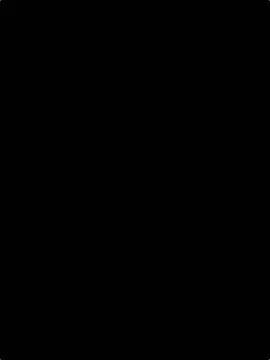 The image is entirely black.