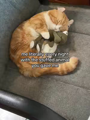 An orange tabby cat is curled up on a gray surface, resting its head next to a green stuffed animal. The cat is in a relaxed position, with its eyes closed. Text overlayed on the image reads: "me literally every night with the stuffed animal you gave me."