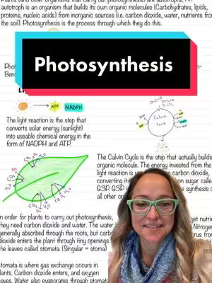 The cover image shows a woman in front of a whiteboard with illustrations about photosynthesis, with the hook 'Photosynthesis' overlaid. The woman is wearing glasses, and the whiteboard has handwritten notes and diagrams detailing photosynthesis.