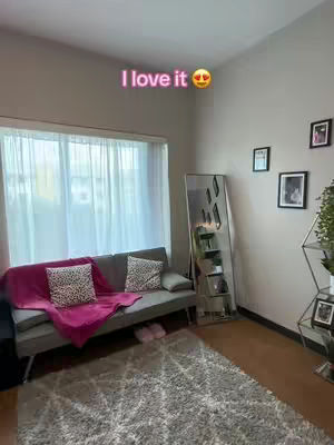 The image shows a dorm room interior, featuring a gray futon against a wall with a large window covered by white curtains. A pink blanket and two leopard-print pillows are on the couch. A gray rug covers the floor. There are a mirror, picture frames, and a plant decorating the room.