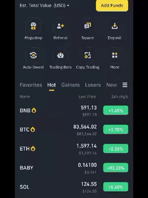 A screenshot from the Binance app, depicting cryptocurrency market data. The top section displays navigation options, including 'Add Funds'. The central part lists cryptocurrency names (BNB, BTC, ETH, BABY, SOL) and their corresponding last prices and 24-hour percentage changes, with green highlighting positive changes. The layout is clean, with a dark theme and yellow accents.