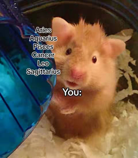 A close-up shot of a hamster with a surprised expression. Text overlays list zodiac signs and the word "You". The hamster is in a cage or enclosure.