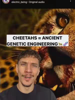 The cover image shows a man in the foreground, presumably the creator. Behind him, on the right side, is a close-up of a cheetah's eye and part of its face. A white rectangle is overlaid, containing the text "CHEETAHS = ANCIENT GENETIC ENGINEERING" in black, bold letters. Below the text are two small icons: a cheetah and two overlapping circles. The man is looking at the camera and appears to be talking. The background is blurred, with an out-of-focus, natural setting.