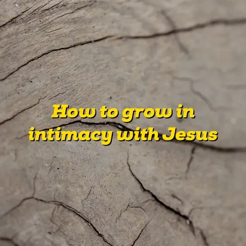 Close-up shot of a textured, light-brown surface with deep cracks and crevices, resembling weathered wood or stone. Overlayed on this surface is text in yellow. The layout follows a centered composition, drawing the eye to the central message amidst the rugged background.