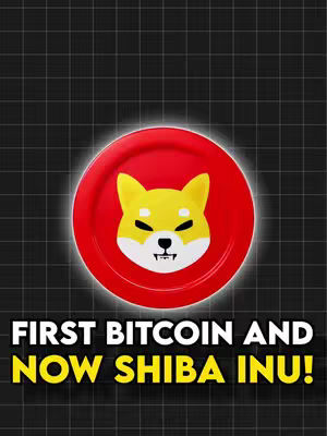 The cover image features a red circle with a Shiba Inu logo. Below this is the text "FIRST BITCOIN AND NOW SHIBA INU!". The background has a grid-like pattern.