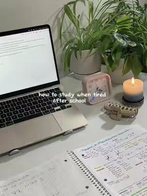 A well-lit, top-down shot captures a workspace: a laptop displaying text, a notebook with handwritten notes, various potted plants, a candle, and a small alarm clock. Soft, natural light bathes the scene, creating a clean, organized, and inviting atmosphere.