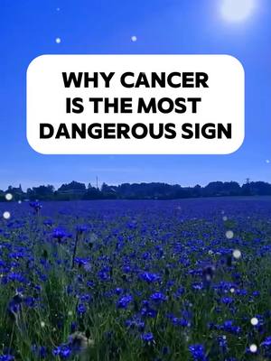 The image shows a field of blue flowers under a blue sky with a white text box overlay. The flowers fill the foreground, and the horizon is visible in the background. The text box contains the words: "WHY CANCER IS THE MOST DANGEROUS SIGN".