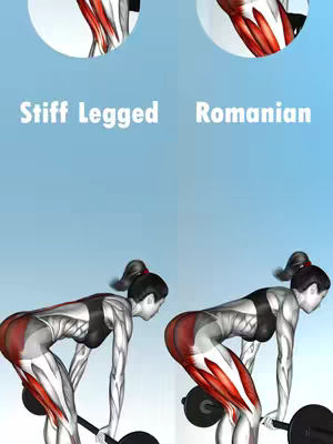 The image is a split screen comparing two weightlifting exercises, 'Stiff Legged' and 'Romanian' deadlifts. Each side shows a woman performing the exercise, with an anatomical illustration superimposed to highlight the muscle groups involved. The background is a gradient blend of blues.