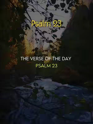 A vertical image with a serene natural scene. The top portion is dominated by dark green foliage, possibly tree branches. Below, a stream of water flows, reflecting light that suggests sunlight breaking through the trees. Overlaid in the center are two lines of text in a bright yellow font, likely titles or key phrases. The overall composition is calm, suggesting contemplation or natural beauty.