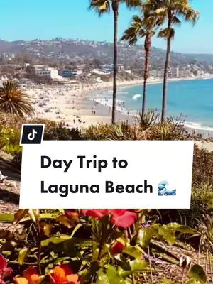 A scenic cover image showing a beach view. In the foreground, vibrant flowers with red and orange hues are in focus. The middle ground showcases a sandy beach, a shoreline dotted with sunbathers and recreational activities, and several palm trees. In the background, a cityscape blends into a bright blue sky.