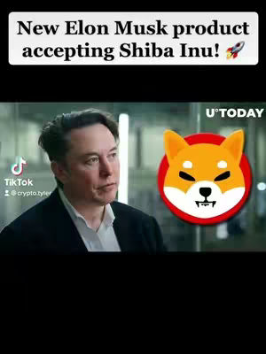 The cover image features Elon Musk looking towards the left, with a large Shiba Inu logo to his right. Above, text reads 'New Elon Musk product accepting Shiba Inu!' The backdrop is blurred, suggesting a professional setting. A TikTok logo is in the lower left.
