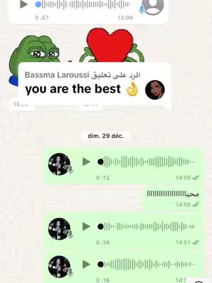 The cover image shows a screenshot of a chat conversation, most likely on a messaging app. A cartoon of a green frog with its hands on a heart is up top. The response is in a text bubble overlayed over the chat. In the chat, there are several green voice message bubbles, indicative of audio responses. The color scheme is generally light, with white and green dominating, and black text.